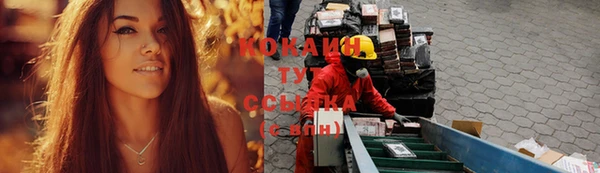 дмт Алзамай