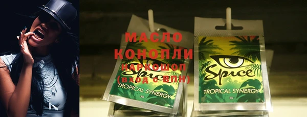 гашик Алексин