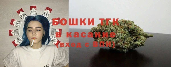 гашик Алексин