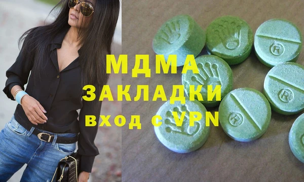 гашик Алексин