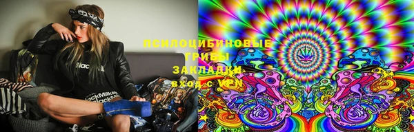 гашик Алексин