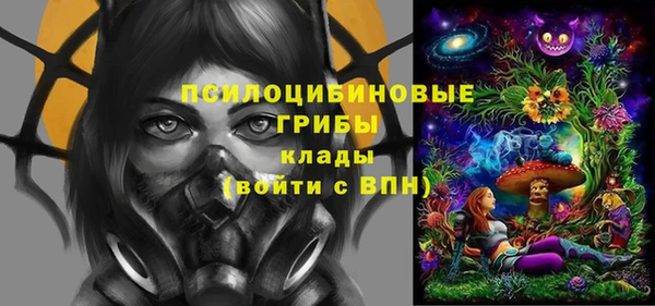 дмт Алзамай