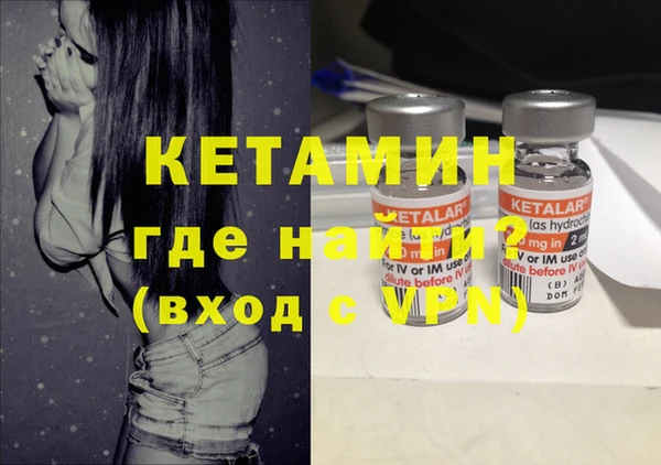 гашик Алексин