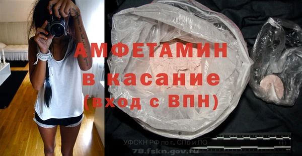 гашик Алексин