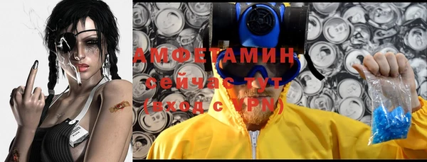 дмт Алзамай