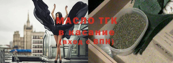 гашик Алексин