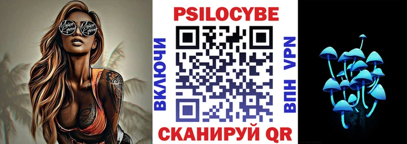 Псилоцибиновые грибы мицелий  даркнет сайт  Тара 